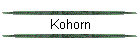 Kohorn